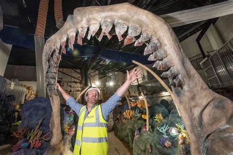 Bear Grylls Adventure Park At Nec Will Let Guests Swim With Sharks