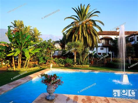 Pool near Puerto de la Cruz, Tenerife, Canary Islands, Spain, Stock ...