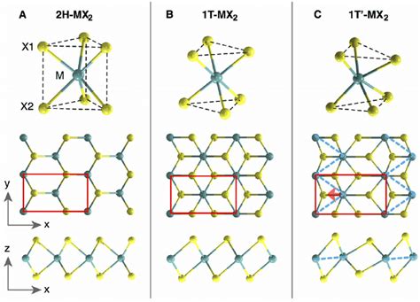 Atomistic Structure Of Monolayer Transition Metal Dichalcogenide Mx 2 Download Scientific