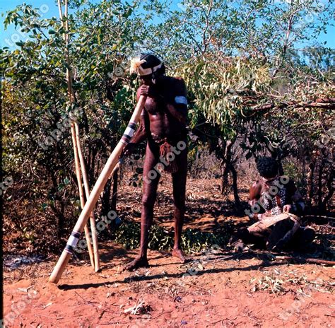 Queensland Australia Aborigine Playing Didgeridoo Topfoto