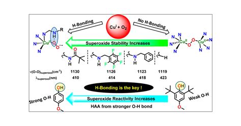 Intramolecular Hydrogen Bonding Enhances Stability And Reactivity Of