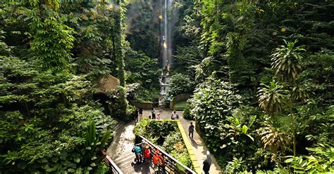 Hard To Say Goodbye What We Miss About Jurong Bird Park The Straits