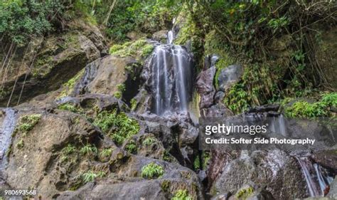 El Yunque Waterfalls Photos and Premium High Res Pictures - Getty Images