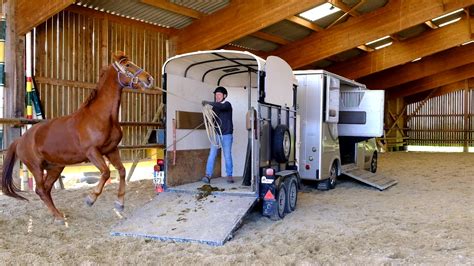 Embarquer Son Cheval Dans Un Van