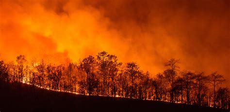 Incendios En Amazonía Brasileña Baten Récord Para Un Primer Semestre En 20 Años Diario El Salvador