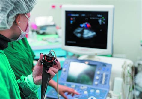 Know the Various Echocardiogram Types and When Each Is Best Used ...