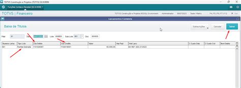 Débito e Crédito na Contabilidade Utilizando um Sistema ERP RFB