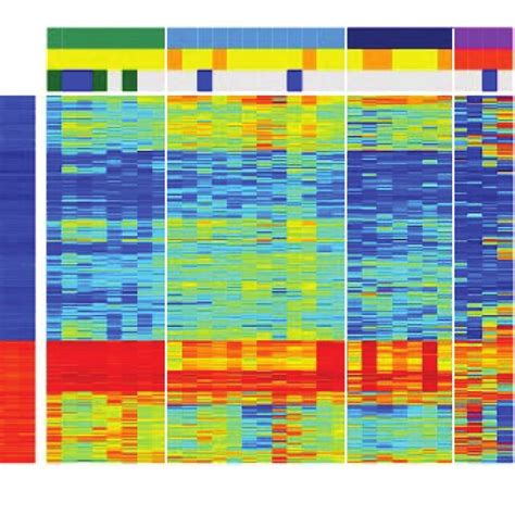 Unsupervised Clustering Identifies Methylation Subgroups A K Means