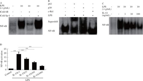 A A competitional gel shift assay for NF κB DNA binding activity EMSA