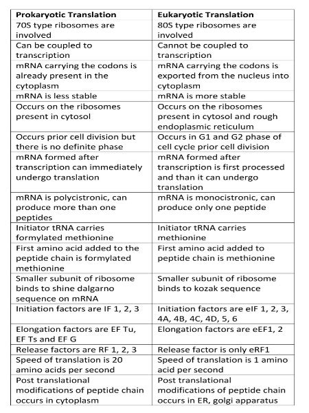 Compare The Eukaryotic And Prokaryotic Gene Translation