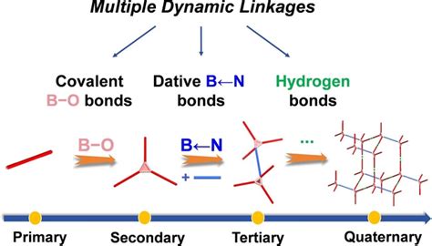 Crystalline Porous Organic Frameworks Based On Multiple Dynamic