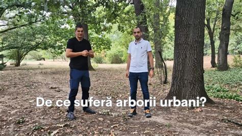 De vorbă despre păduri Ep 07 De ce suferă arborii urbani Invitat