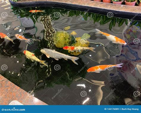 Decorative Aquarium Fish Tank In The Building Hanoi Vietnam March