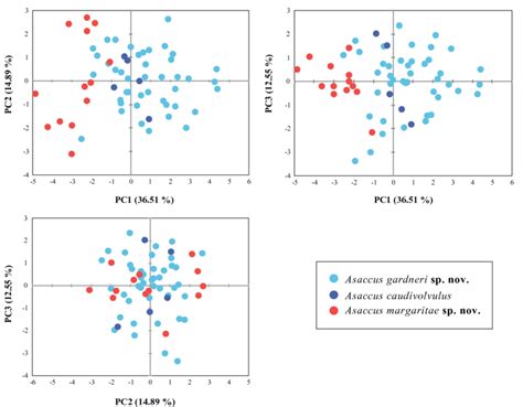 Principal Component Analysis Pca Of The Shape Related Morphological Download Scientific