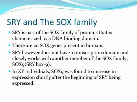 Ppt The Role Of The Sry Gene In Determing Sex Powerpoint