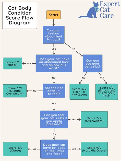 Cat Body Condition Score Chart How To Score Your Cat 1 9