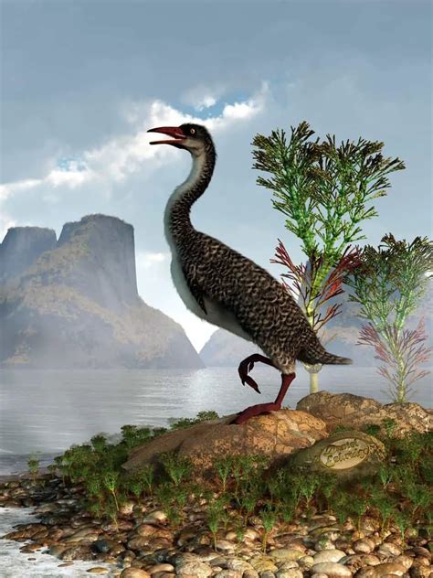 Hesperornis | Dinosaurs - Pictures and Facts