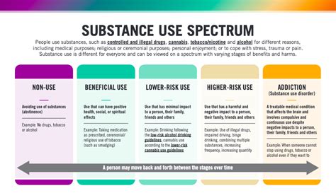 About Substance Use BCCSU