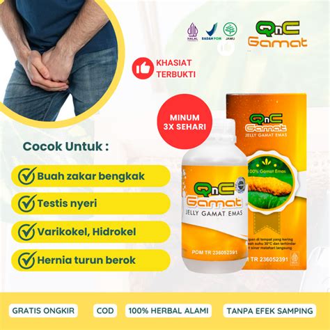 Jual Obat Buah Zakar Bengkak Sebelah Kanan Kiri Testis Nyeri