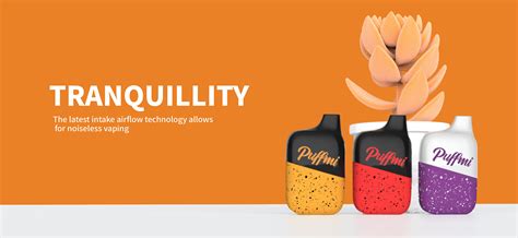 Wholesale DY4500 manufacturers and suppliers | Puffmi