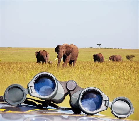 The Best Safari Binoculars - Safari Trips Africa & Beyond ...