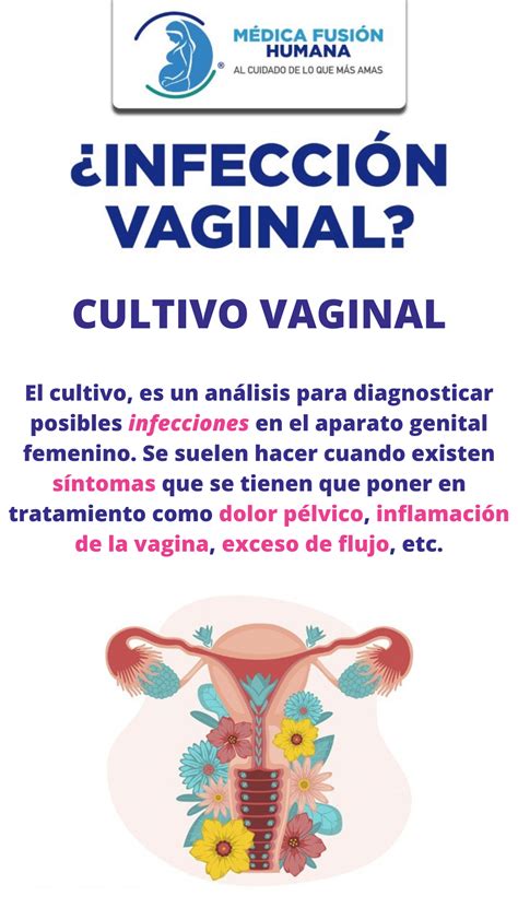 Gineco Cultivo Vaginal M Dica Fusi N Humana