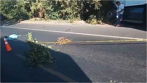 Hombre Muri Atropellado Por Tr Iler En Carretera Litoral Noticias De