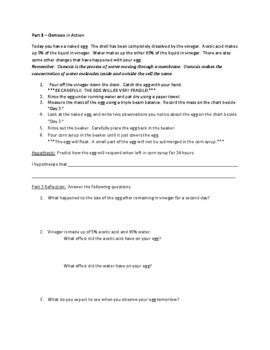 Naked Egg Lab By Laura Motley Mahnken TPT