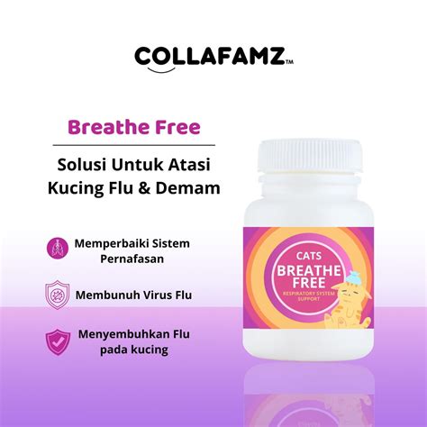 Jual Obat Kucing Flu Berat Breathe Free Collafamz Obat Kucing Flu