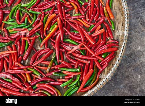 Thai Hot Chilli Plant Hi Res Stock Photography And Images Alamy