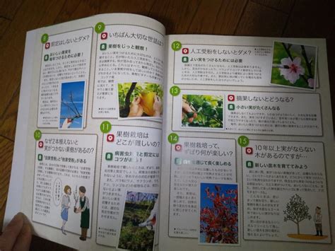 果樹の上手な育て方大事典 小林幹夫／監修 家庭園芸の本 最安値・価格比較 Yahoo ショッピング｜口コミ・評判からも探せる