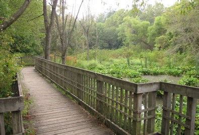 Monthly Bird Outing At Beaver Lake Bird Sanctuary Blue Ridge Audubon