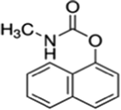 Chemical structure of carbaryl | Download Scientific Diagram