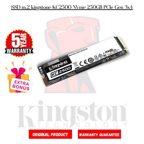 Jual SSD M 2 Kingstone KC2500 NVme 250GB PCIe Gen 4 SNV2S 250gb