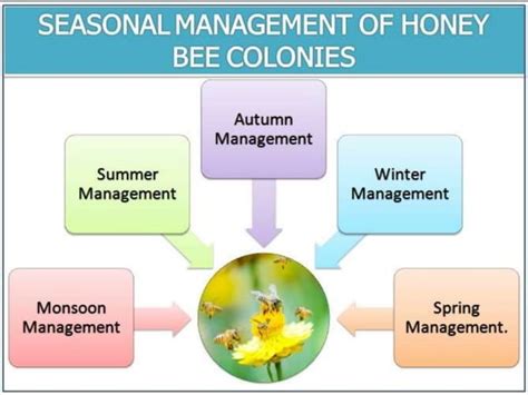 Beekeeping | PPT