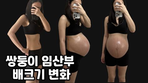 쌍둥이 임산부 배 크기 변화 임신 초기 ~ 출산 후 임산부 주수별 배크기 임산부 브이로그 Twin