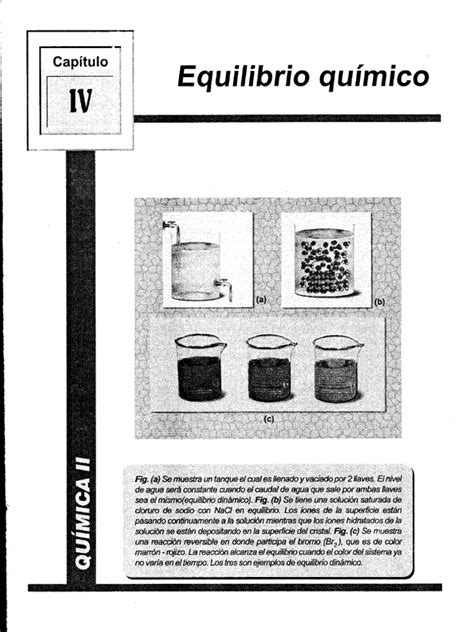 PDF 20 Equilibrio Quimico DOKUMEN TIPS