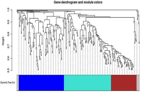 Viruses Free Full Text Mrna Lncrna Co Expression Network Analysis