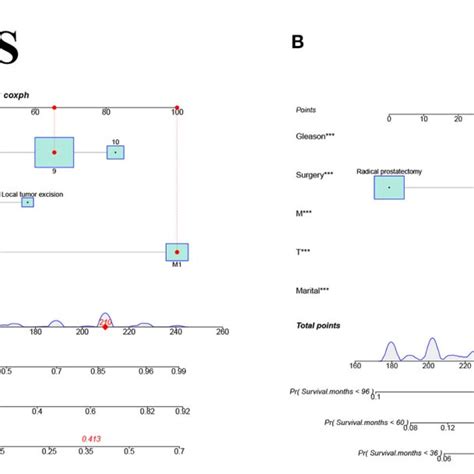 Figure E The Nomograms For Predicting G And D Year Css And Os In