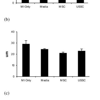 Analysis Of Infarct Size Angiogenesis And Apoptosis In The Control