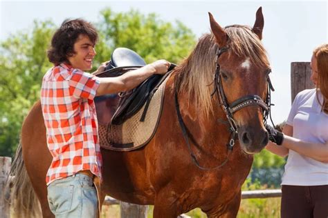 Saddling The Horse Stock Photos Royalty Free Saddling The Horse Images