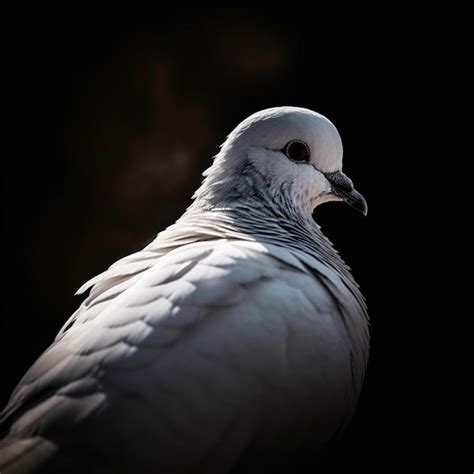 Premium Ai Image Detailed Portrait Of A White Dove