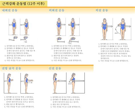 회전근개 파열 수술 후 재활 네이버 블로그