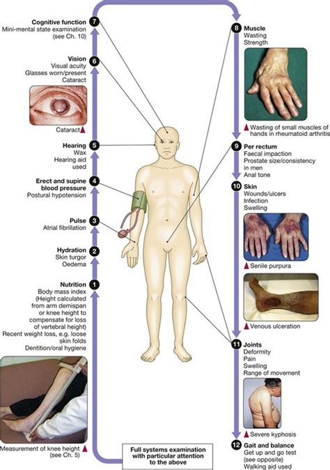 Ageing And Disease Basicmedical Key