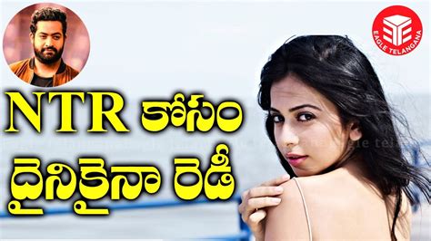 Jr Ntr కోసం దేనికైనా రెడీ Rakul Preet Sensational Comments On Jr Ntr