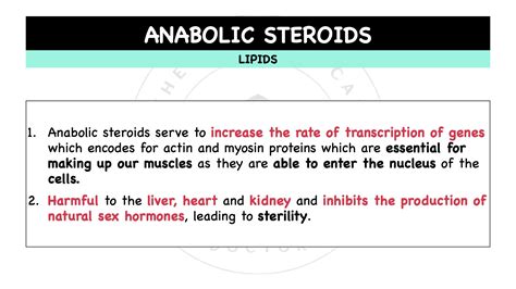 Lipids – Steroids – The Theoretical Doctor