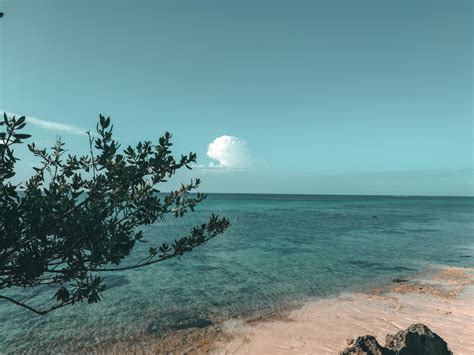 Free Images Sky Blue Sea Nature Ocean Tree Turquoise Horizon