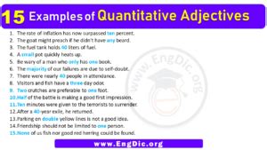 Examples Of Quantitative Adjectives In Sentences Engdic