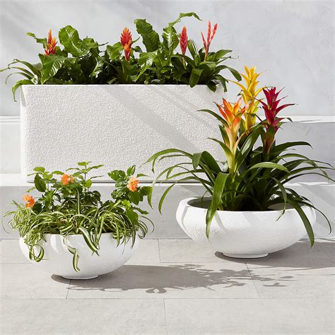 Boka White Indooroutdoor Planter Bowl Large Reviews Cb2 Canada