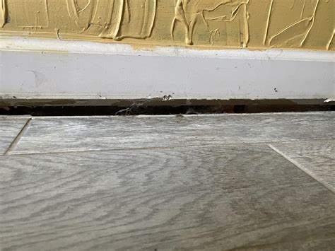 Baseboard separating from floor… : r/fixit